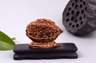 山東工藝美術(shù)學(xué)院研培學(xué)員創(chuàng)新產(chǎn)品設(shè)計(jì)大獎(jiǎng)賽喜獲佳績，彰顯收藏品鑒定評估服務(wù)價(jià)值